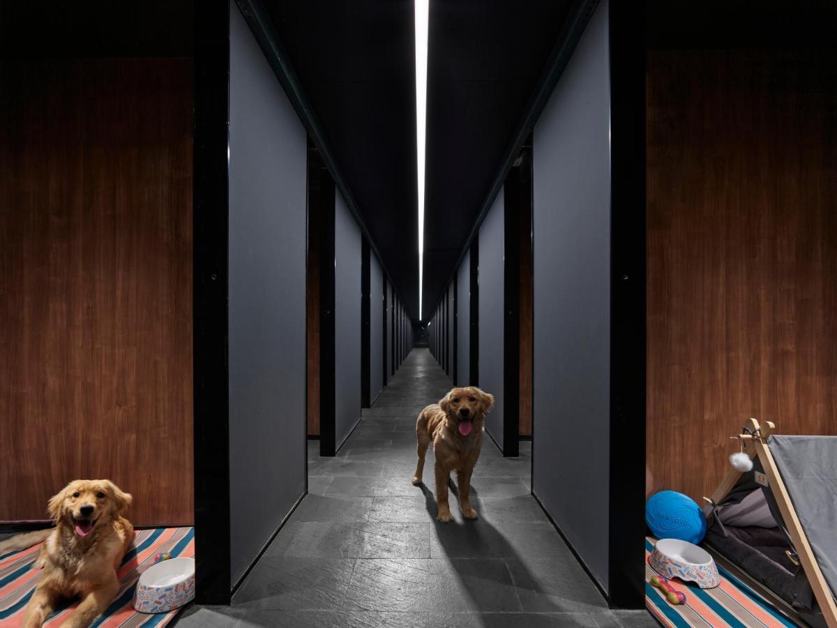 ホテル Angsana Chengdu Wenjiang エクステリア 写真